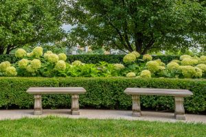 Image of two stone benches in front of a hedge and lush bushes