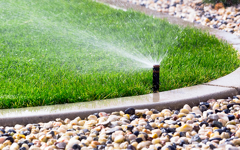 Irrigation sprinkler shoots water from the edge of lush green grass along pavers and rocks