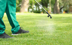 Pest control wearing green pants spraying a lush green lawn