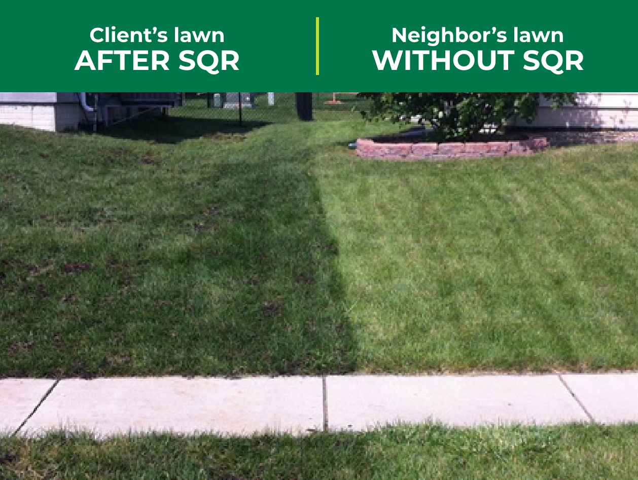 Soil quality restoration results green lush lawn compared to neighbor lawn