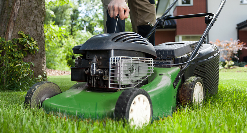 Web Green mower