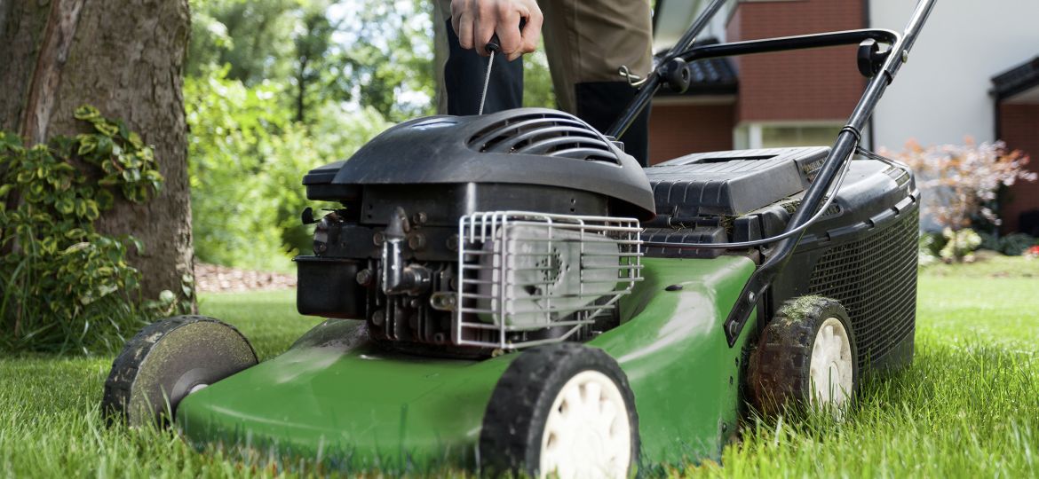 Green mower blog feature