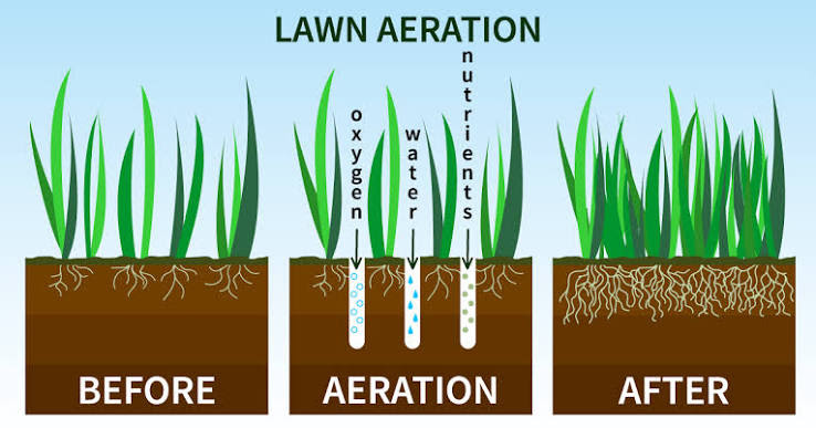 LawnAeration-Diagram Lawn Aeration explanation diagram before and after